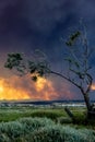 Devastating wildfire in Alexandroupolis Evros Greece, ecological and environmental disaster, smoke covered the sky, tree