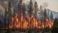 Devastating wildfire consuming forest trees engulfed in flames and smoke billowing Royalty Free Stock Photo