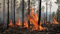 Devastating wildfire consuming forest trees engulfed in flames and smoke billowing Royalty Free Stock Photo