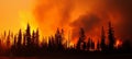 Devastating wildfire engulfs british columbia forest in a raging inferno with towering flames