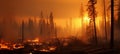 Devastating wildfire with large flames spreading across the forests of british columbia, canada