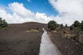 Devastation Trail Royalty Free Stock Photo