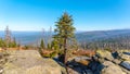 Devasted forest in cause of bark beetle infestation. Sumava National Park and Bavarian Forest, Czech Republic and Royalty Free Stock Photo