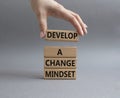 Develop a change mindset symbol. Concept words Develop a change mindset on wooden blocks. Beautiful grey background. Businessman