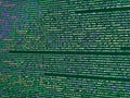 Developer software programming code. Backlit they can create beautiful reflections of many colors. Shallow dof. Web server data on Royalty Free Stock Photo