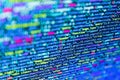 Developer working on software codes in office. Computer science lesson. Php code on blue background in code editor. Template of Royalty Free Stock Photo