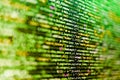Developer working on software codes in office. Computer script coding source code on desktop monitor. Crypto currency terms cloud Royalty Free Stock Photo