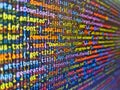 Developer working on websites codes in office. Abstract computer script  code. Software source code. Technology background. Royalty Free Stock Photo