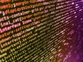 Developer working on websites codes in office. Failure in the program, blue screen, programming. Python programming developer code Royalty Free Stock Photo