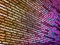 Developing programming binary code. Letters, chars, and digits. Script on computer with source code. HTML5 in editor for website