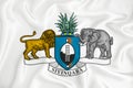 A developing white flag with the coat of arms of Eswatini. Country symbol. Illustration. Original and simple coat of arms in