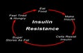 Development of Insulin Resistance