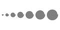 Development of linear spirals of different sizes