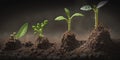 development of seedling growth planting seedlings young plant in the morning light