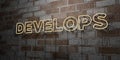 DEVELOPS - Glowing Neon Sign on stonework wall - 3D rendered royalty free stock illustration