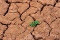 Deviation of the dry season until the land cracked.