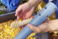 A device for separating corn kernels from the cob, made with your own hands from a piece of plumbing polyethylene pipe Royalty Free Stock Photo