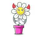 Devil daisy flower mascot cartoon