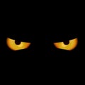 Devil Eyes Royalty Free Stock Photo