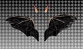 Devil realistic wings, horns on transparent background