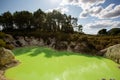 Devil`s Bath green pond at Wai-O-Tapu, Rotorua, North Island, New Zealand Royalty Free Stock Photo