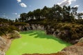 Devil`s Bath green pond at Wai-O-Tapu, Rotorua, North Island, New Zealand