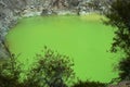 Devil`s Bath green pond at Wai-O-Tapu thermal wonderland, Rotorua, North Island, New Zealand