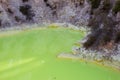 The Devil's Bath at Wai-O-Tapu geothermal area Royalty Free Stock Photo