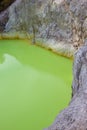 The Devil's Bath at Wai-O-Tapu geothermal area Royalty Free Stock Photo