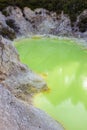 The Devil's Bath at Wai-O-Tapu geothermal area Royalty Free Stock Photo