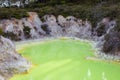 The Devil's Bath at Wai-O-Tapu geothermal area Royalty Free Stock Photo