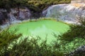 The Devil's Bath at Wai-O-Tapu geothermal area Royalty Free Stock Photo