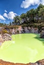 Devil's Bath in Wai-O-Tapu National Park, Rotorua - New Zealand