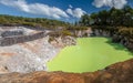 Devil's Bath in Wai-O-Tapu National Park, Rotorua - New Zealand