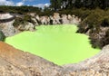 Devil`s bath at Waiotapu thermal wonderland, also Wai-O-Tapu, Rotorua, north island, New Zealand