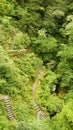 Devil's Bridge Falls stairs in Wales Royalty Free Stock Photo