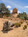 Devil`s Garden Sandstone Formations Royalty Free Stock Photo