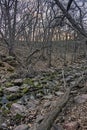 Devil`s Gulch is located By Garretson, South Dakota and is where Famous Outlaw Jesse James jumped across Royalty Free Stock Photo