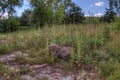 Devil`s Gulch is located By Garretson, South Dakota and is where Famous Outlaw Jesse James jumped across Royalty Free Stock Photo