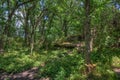 Devil`s Gulch is located By Garretson, South Dakota and is where Famous Outlaw Jesse James jumped across Royalty Free Stock Photo