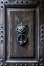 Devil`s head bronze knocker door