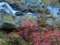 Devil`s Hopyard, Connecticut Waterfall and Colorful Foliage