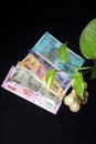 Devil`s ivy Epipremnum aureum or Money plant leaf with Indian rupee currency notes over black background. Royalty Free Stock Photo