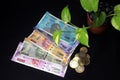 Devil`s ivy Epipremnum aureum or Money plant leaf with Indian rupee currency notes over black background. Royalty Free Stock Photo