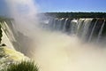 Devil's throat at Iguazu falls in Argentina with flocks of swifts