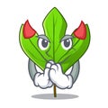 Devil sassafras leaf in the mascot pots