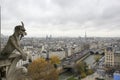 Devil statue watching Paris Royalty Free Stock Photo