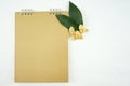 Devil tree and gold calendar with white background Royalty Free Stock Photo