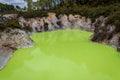 Devil& x27;s cave pool, Wai-O-Tapu thermal wonderland, Rotorua, New Zealand Royalty Free Stock Photo