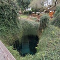 Devil's Den prehistoric spring, Florida Royalty Free Stock Photo